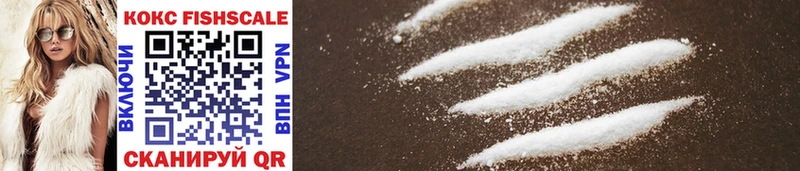 Cocaine Fish Scale  Купить закладки  Белокуриха 