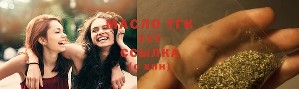 гашик Богородицк