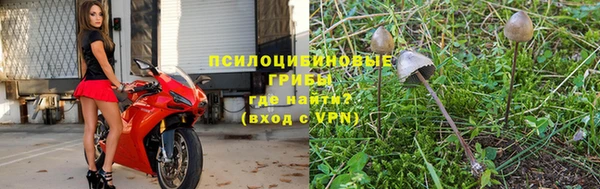 гашик Богородицк