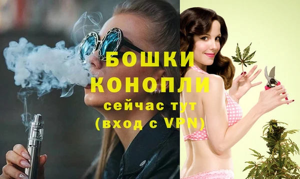 гашик Богородицк