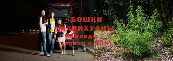 гашик Богородицк