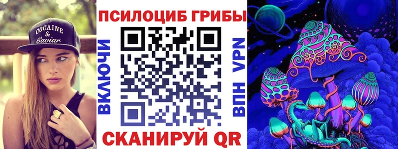 Псилоцибиновые грибы Cubensis  Купить  Белокуриха 